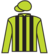 Bernie Boy silks