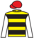 Strategic Success silks