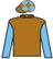 Viganotto silks