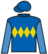 Haileybury Miss silks