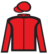 Solo Flight silks
