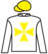 Canny Cat silks