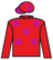 Ayasha silks