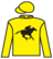 Swing King silks