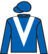 The Groundsman silks