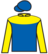 Mrs Gossip silks