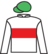 Thirteenth Man silks