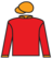 Brigadier Sam silks