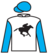 Seventies Hit silks