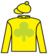 Super Art silks