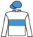 Share Trader silks