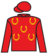 Secret Statement silks
