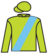 Shwanky Doo silks