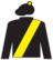 To The Barricades silks