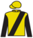 Shiny Agent silks
