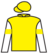 Unique Prince silks