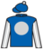 Plastic Dreams silks
