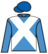 In Trouble silks