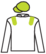 A Samurai Mind silks
