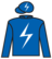 She Salutes silks