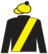 Looking At You Kid silks