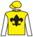 Classic Train silks