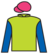 Cauthen silks