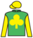 Shane's Princess silks