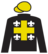 Spicyrhonda silks