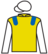 Captain Treasure silks