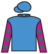 Line Of Kings silks