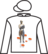 Ideas Man silks