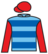 Raheeba Las Vegas silks