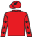 Bexstar silks