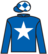 Intern silks