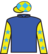 Voulait silks