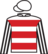 Rebel Racer silks