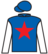 Hibiscus Lady silks