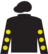 Prize Pursuit silks