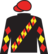 Pride Of Passion silks