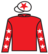 She Will Fly silks