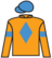 Arctic Jewel silks