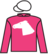 Chase On The Case silks