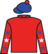 Down Under Dancer silks