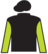 Ryusei silks