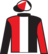 Shame For Fame silks