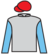 Fleurs De Lis silks