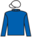Into The Light silks