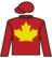 Thunder Park silks