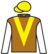 Destined To Dream silks